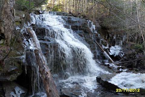 Falls Brook Falls